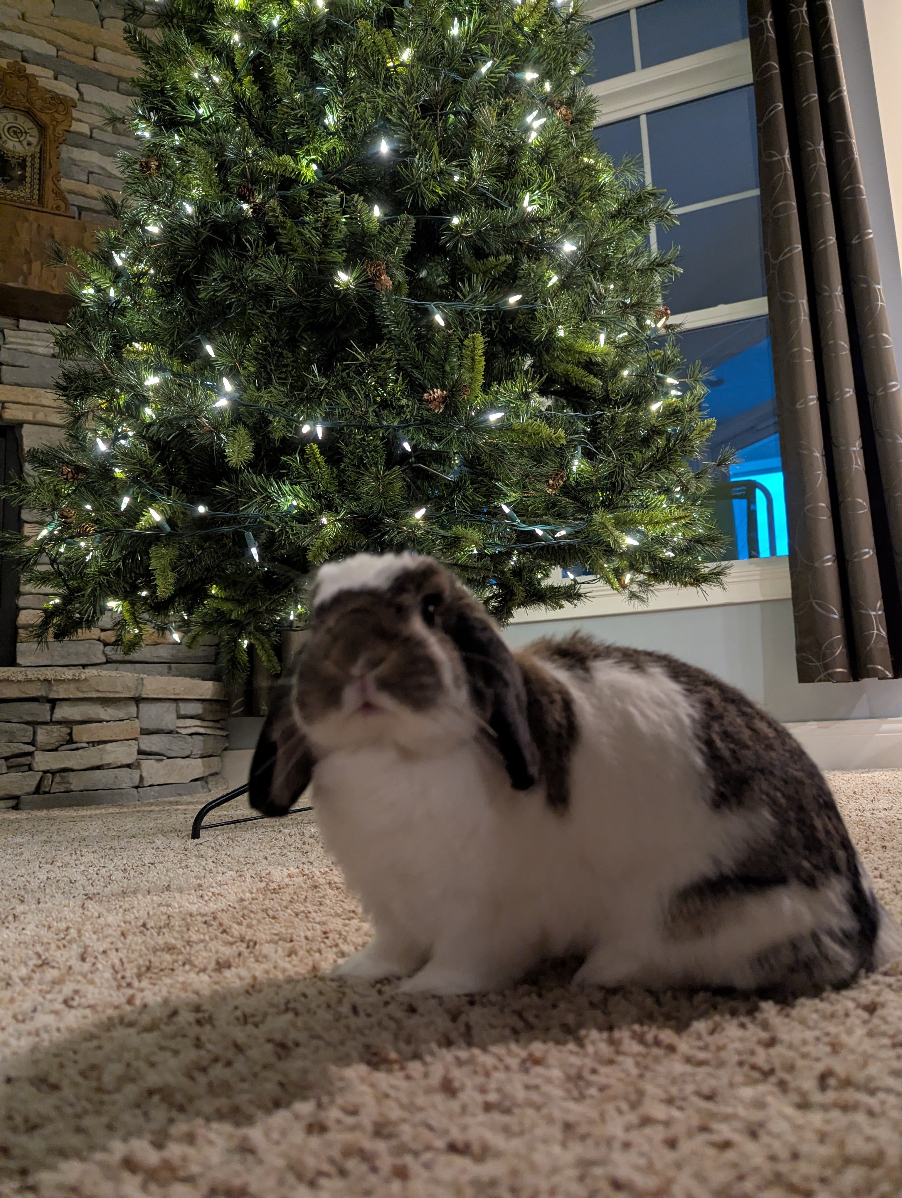 PXL_20251124_222607146