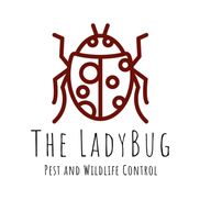ladybug-logo